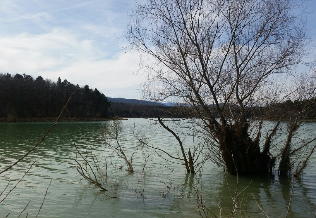 Lac de Montbel-Montbel必去景点