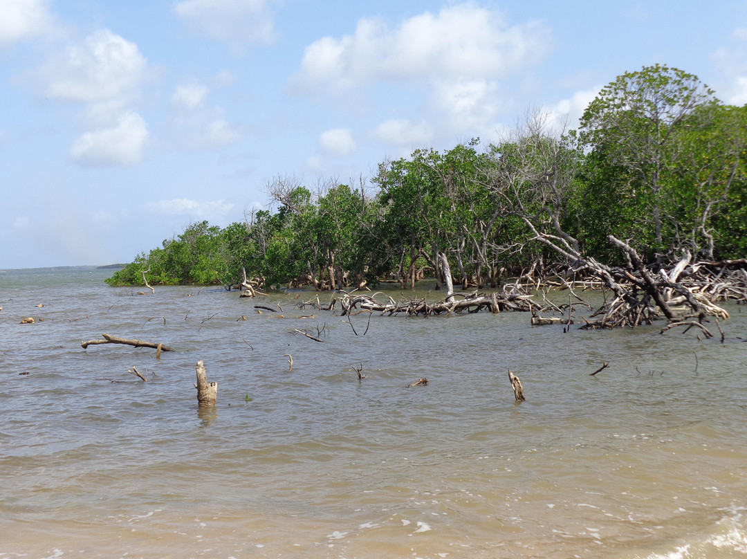 Broadafrica tours and safaris-蒙巴萨必去景点