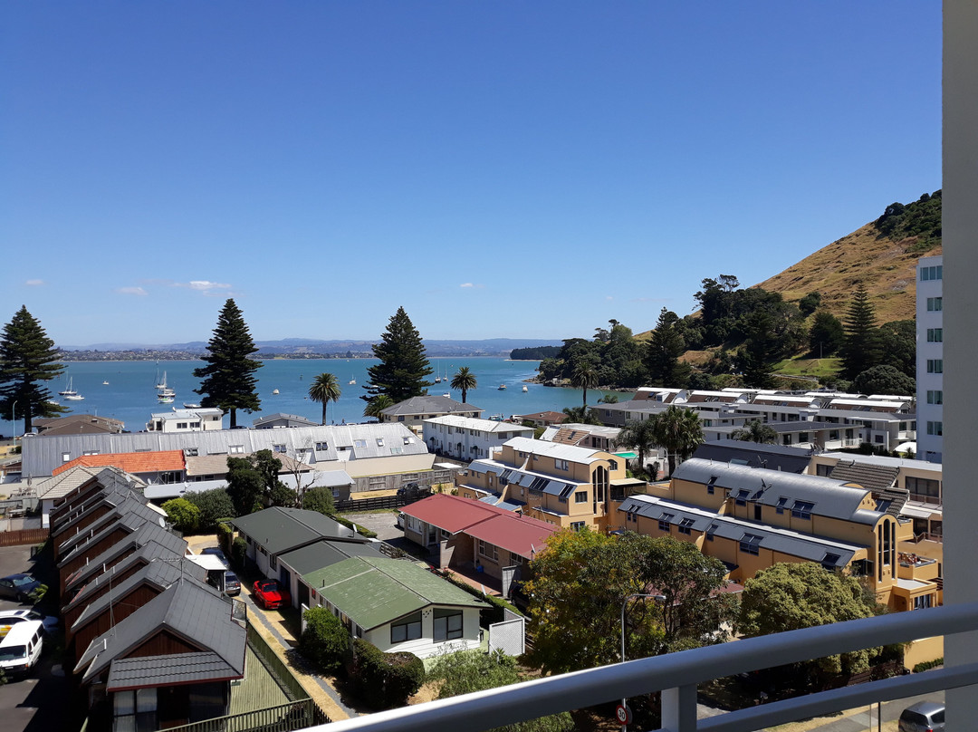 The Atrium Apartments主图