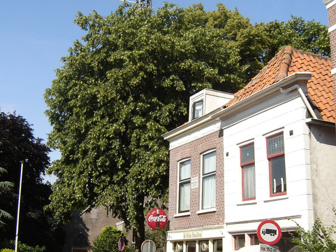 Rondje Oud Overschie-鹿特丹必去景点