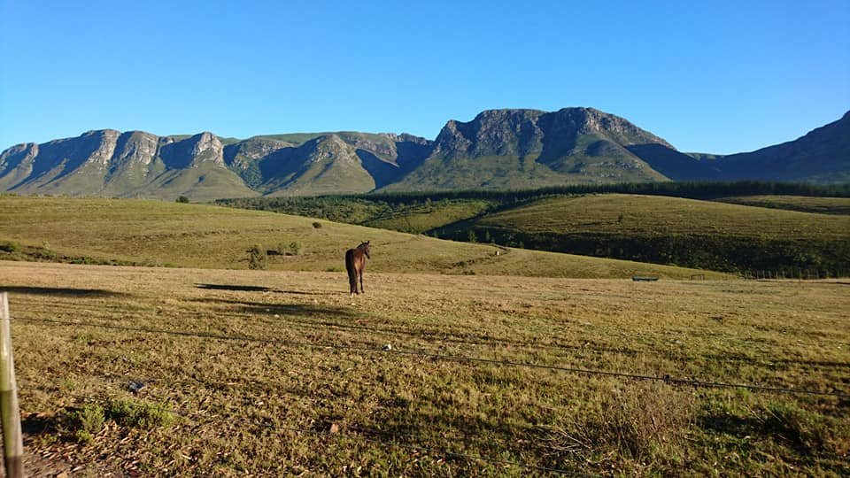 Oudebosch Mountain Lodge主图