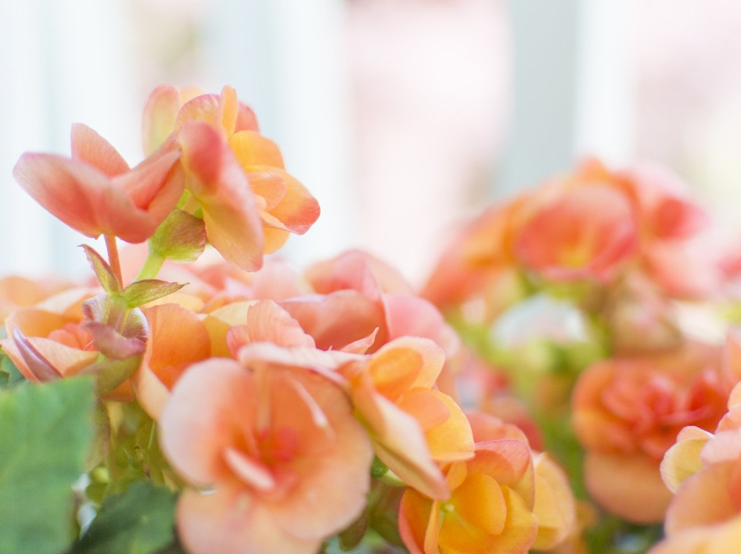 Sun n Sand Resort主图