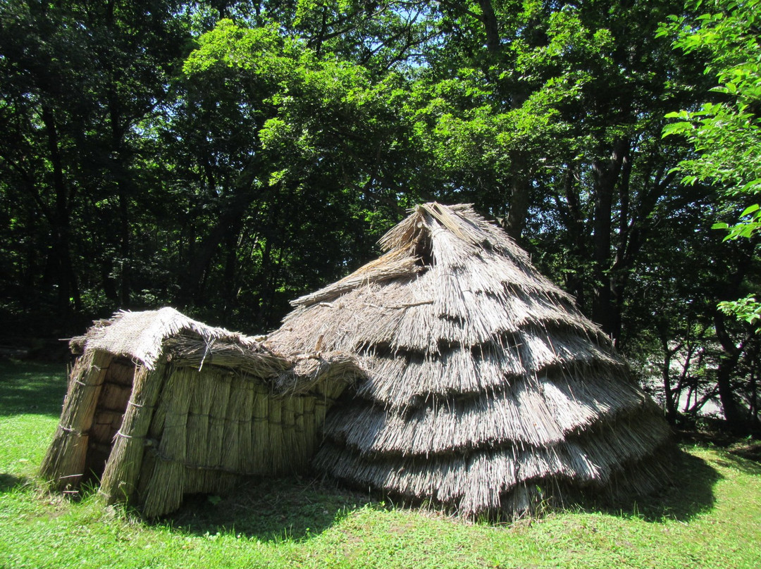 Forest of Tokoro Remains-北见市必去景点