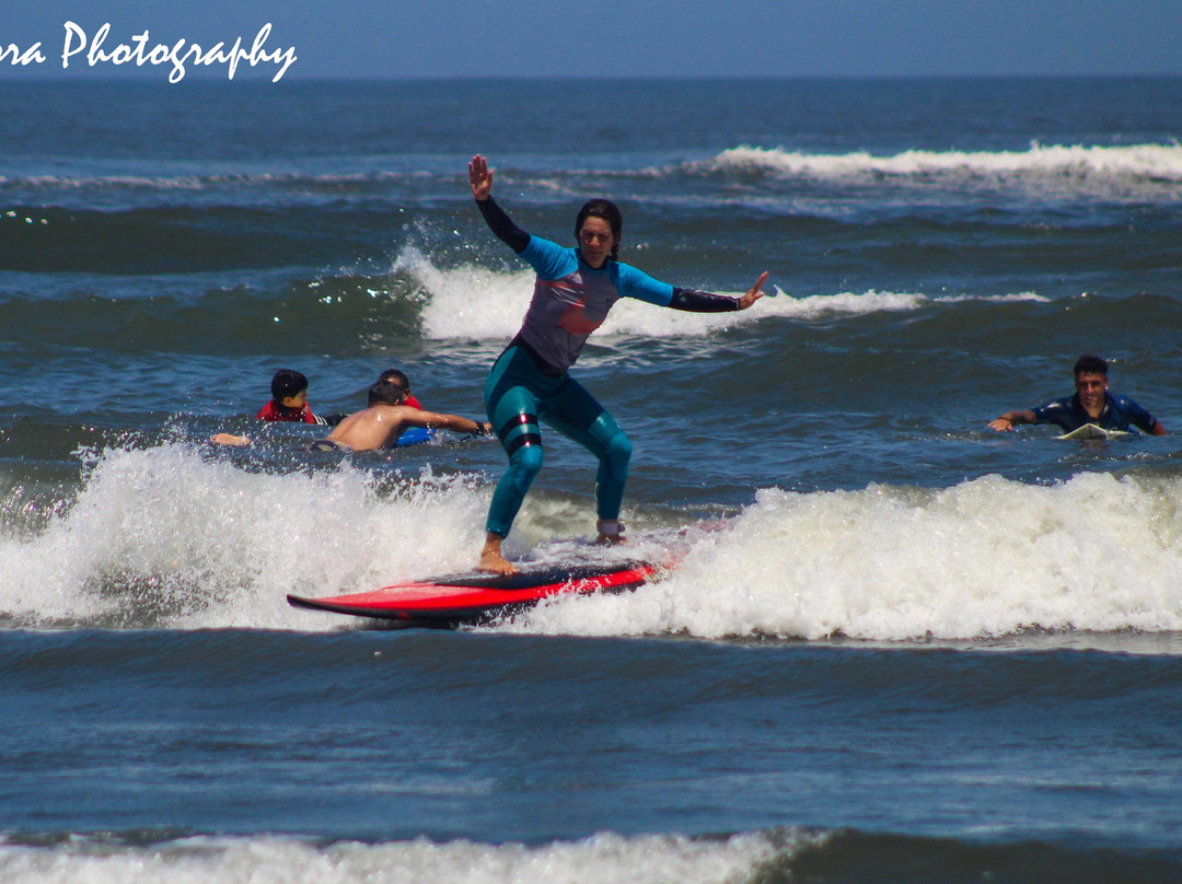 Totora Surf School景点图片