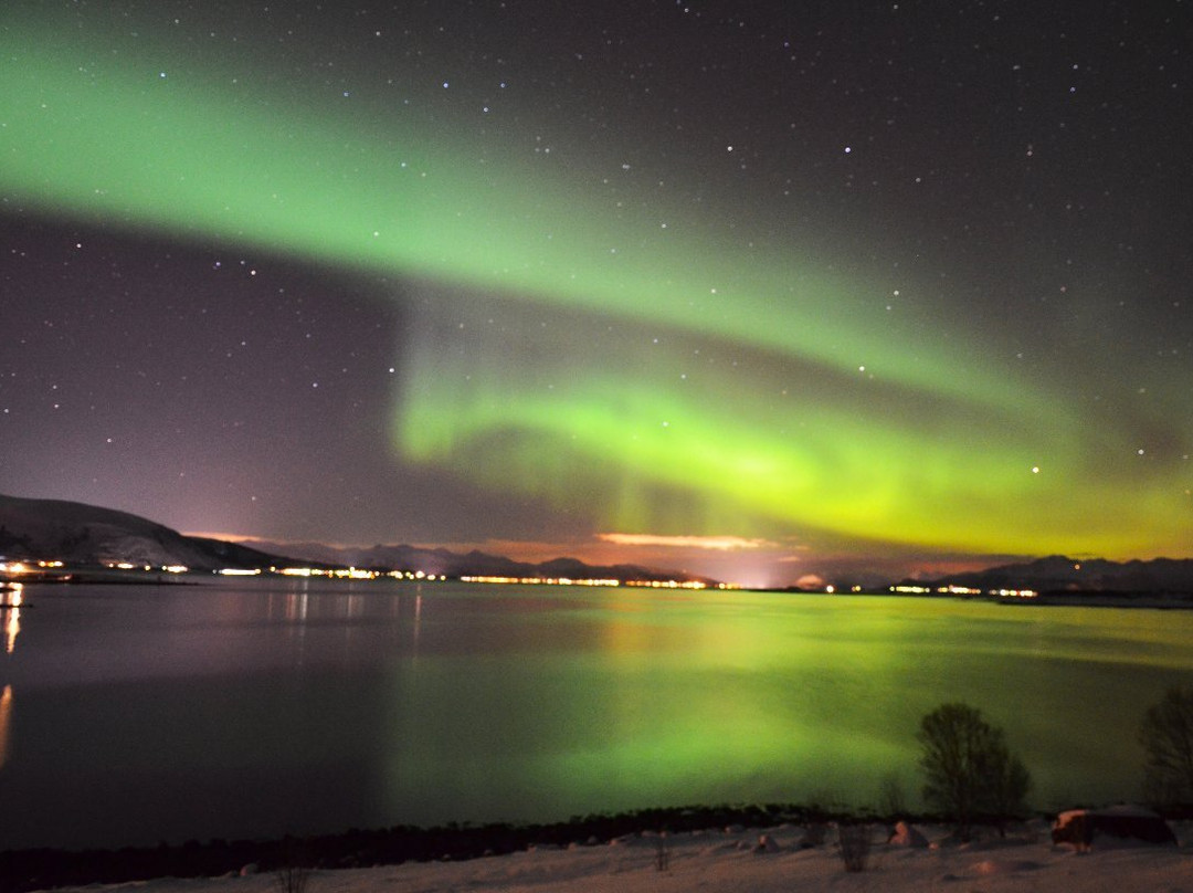 Lofoten Photo Tours景点图片