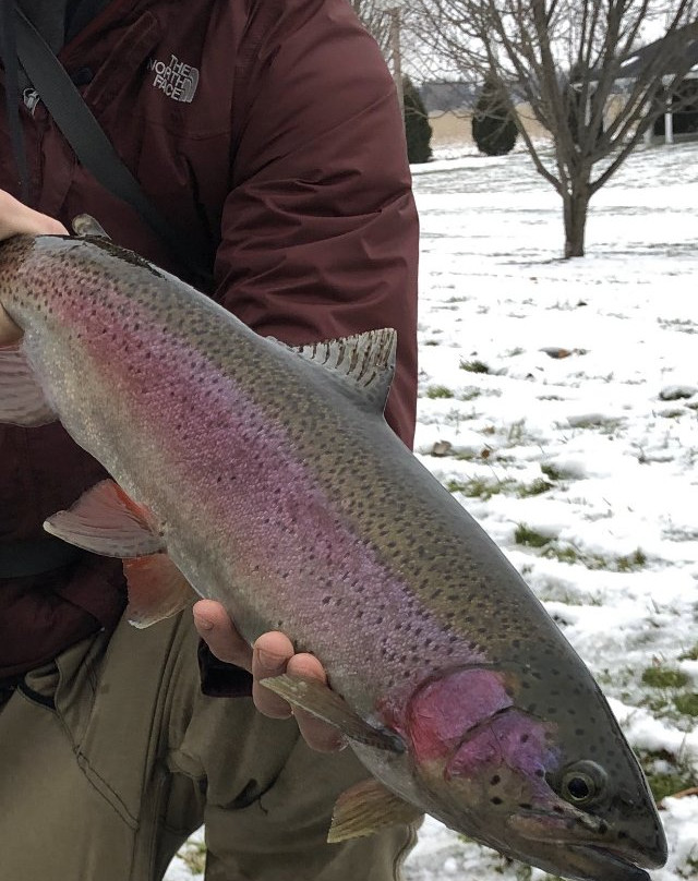 Millsite Lodge主图