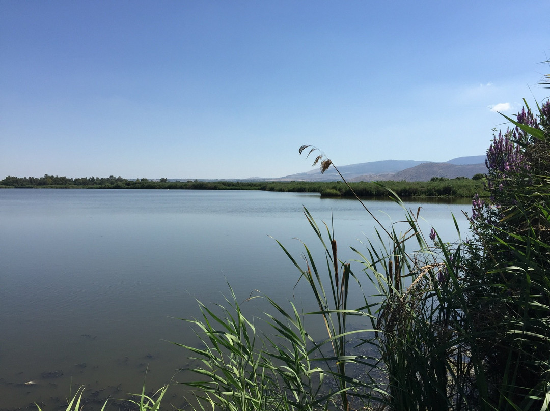 Hula Nature Reserve景点图片