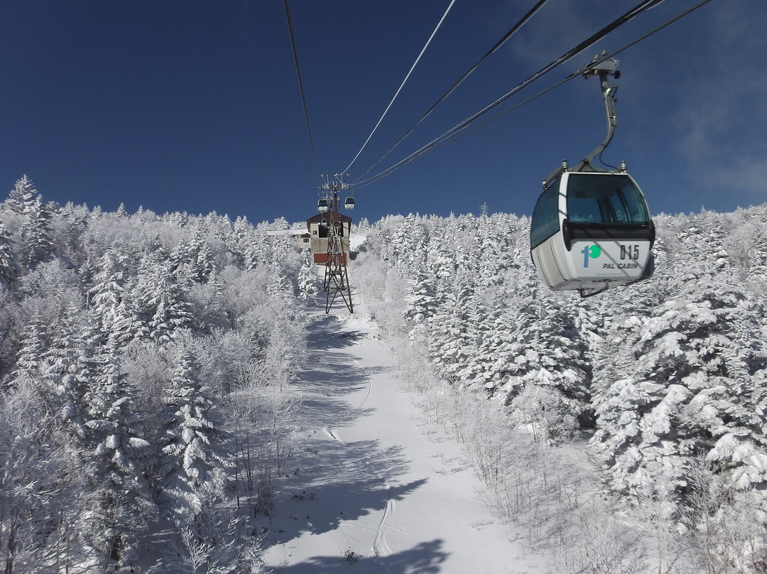 Palcall Tsumagoi Ski Resort景点图片