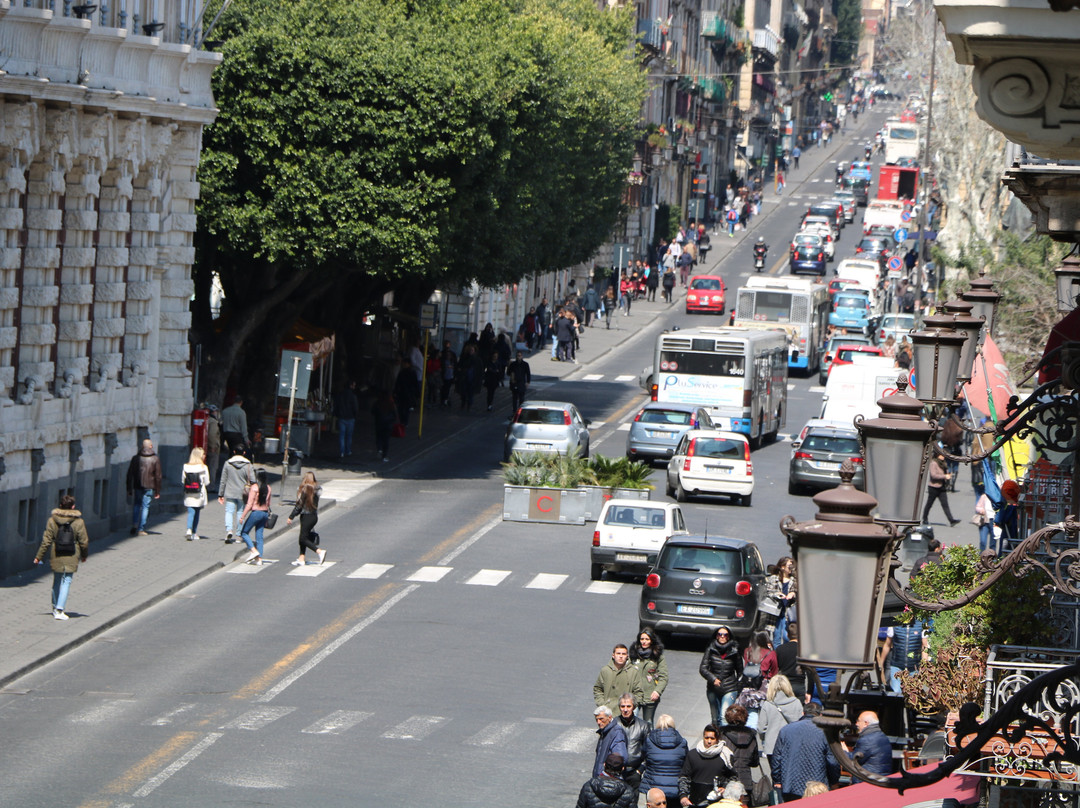 B&B L'Elefante主图