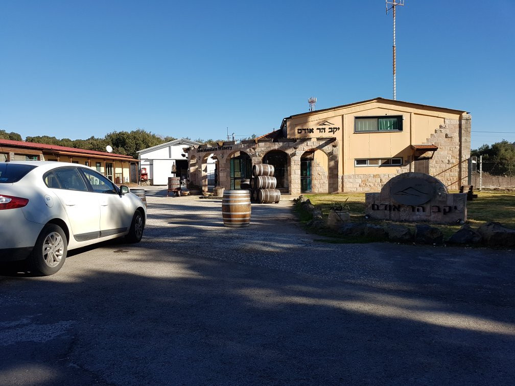 2025 3 Majdal Shams Majdal Shams Majdal Shams 