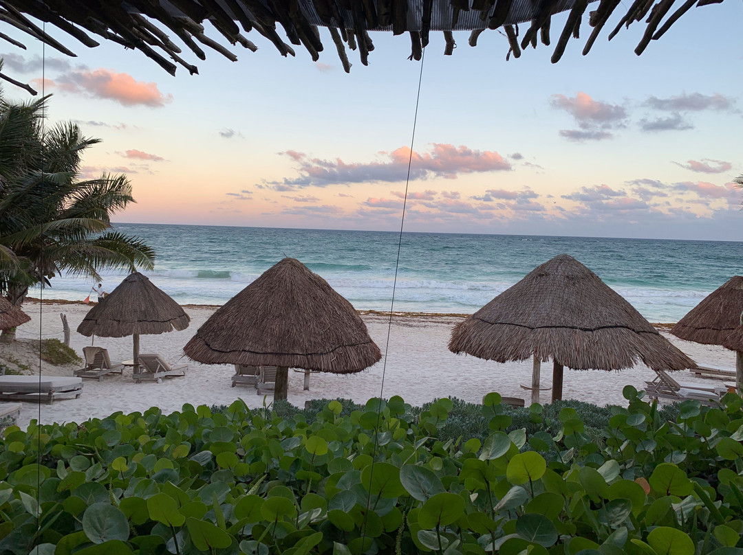 迷人图鲁姆酒店主图