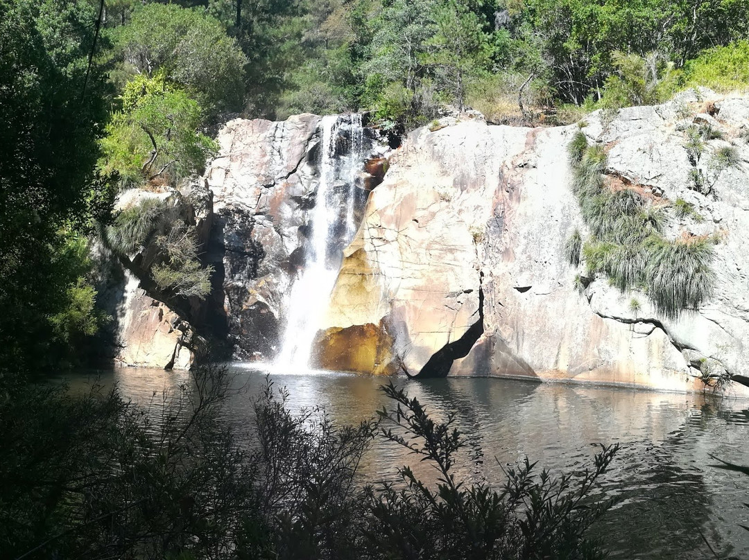 Rutas Pudu-Pelluhue必去景点