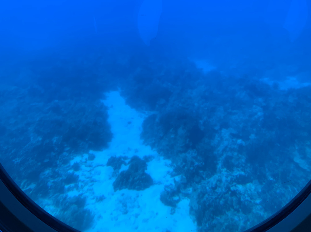 Atlantis Submarines Kona景点图片