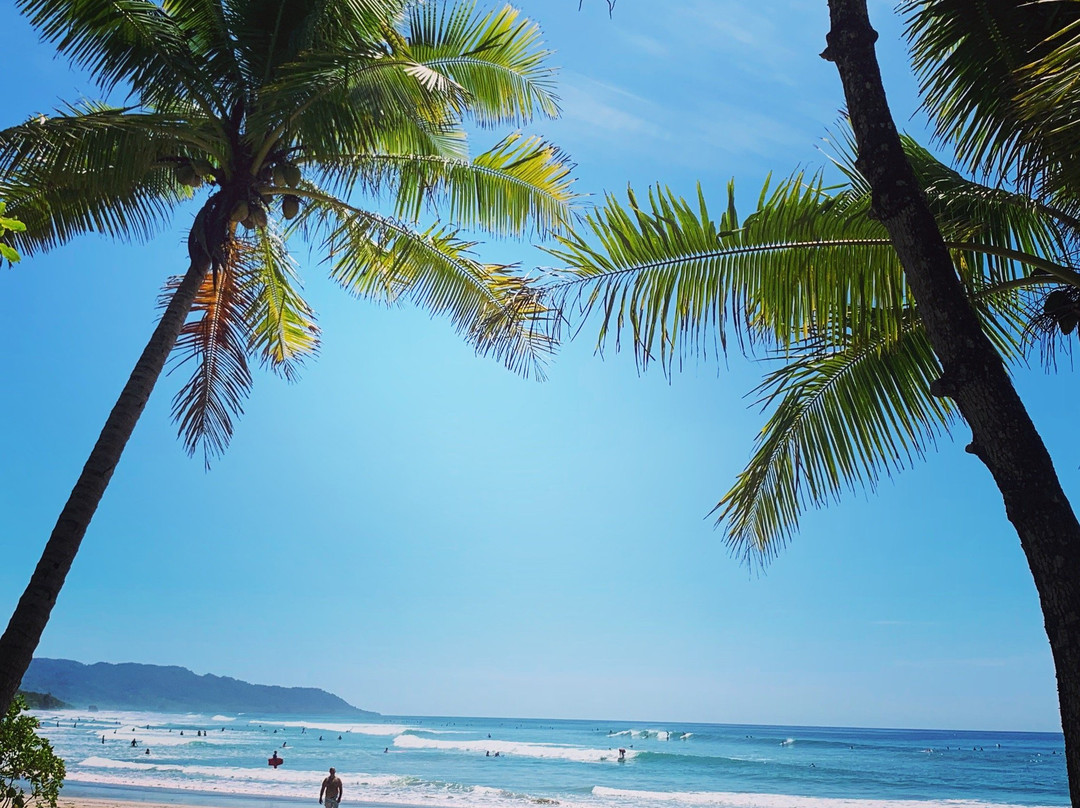 Lalo Surf School-圣特雷莎必去景点