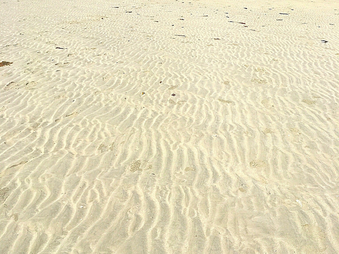 Badaraq Beach-古达必去景点