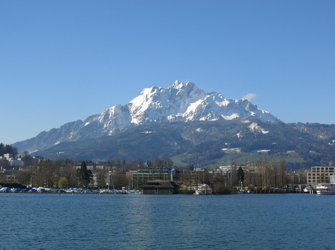 Typically Swiss Tours景点图片
