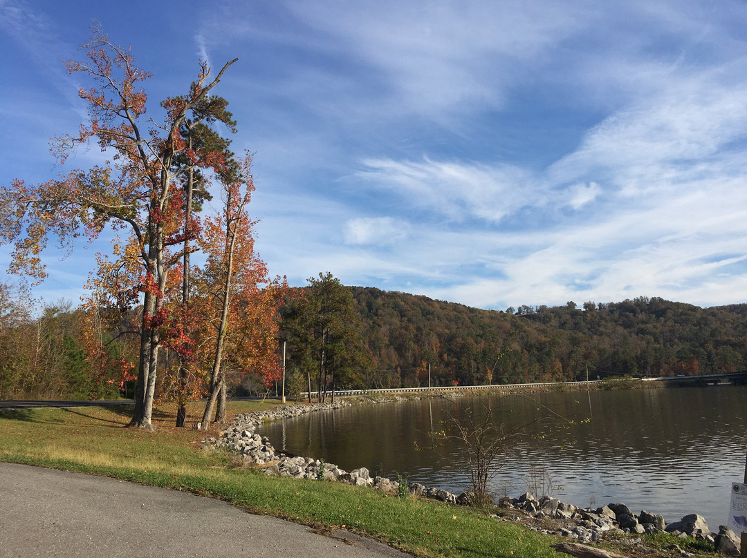 Town Creek Fishing Center-Guntersville必去景点