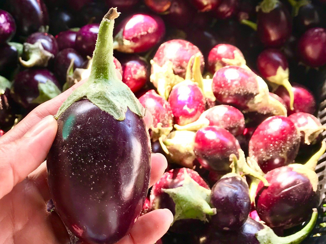 Laguna Niguel Farmer’s Market-拉古纳尼格必去景点