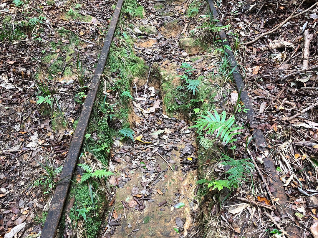 Waiorongomai Valley Tramping Tracks景点图片