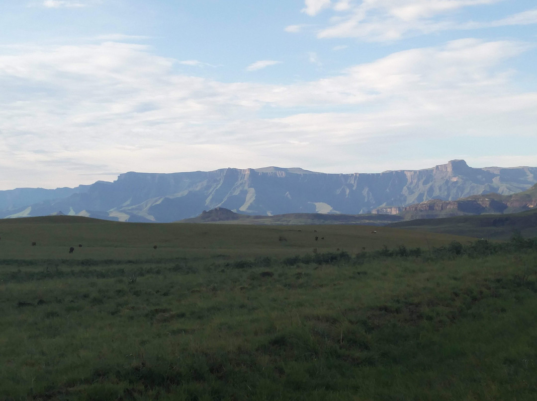 The Vulture Trail-柏维必去景点