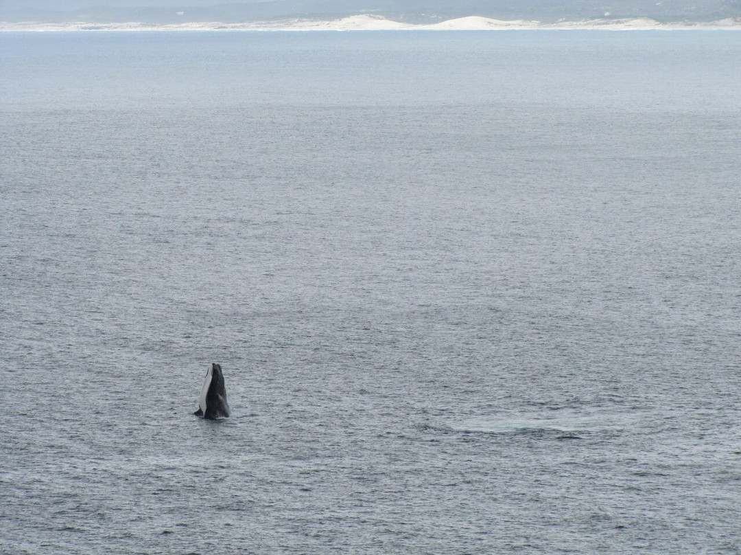 Sea Star Lodge主图