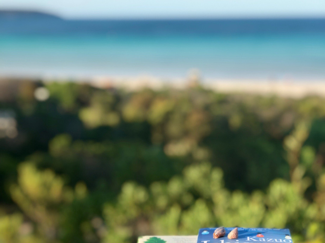 Island Beach-袋鼠岛必去景点