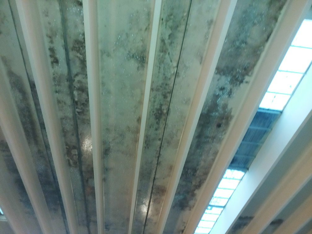 Suite Dreams Hotel主图