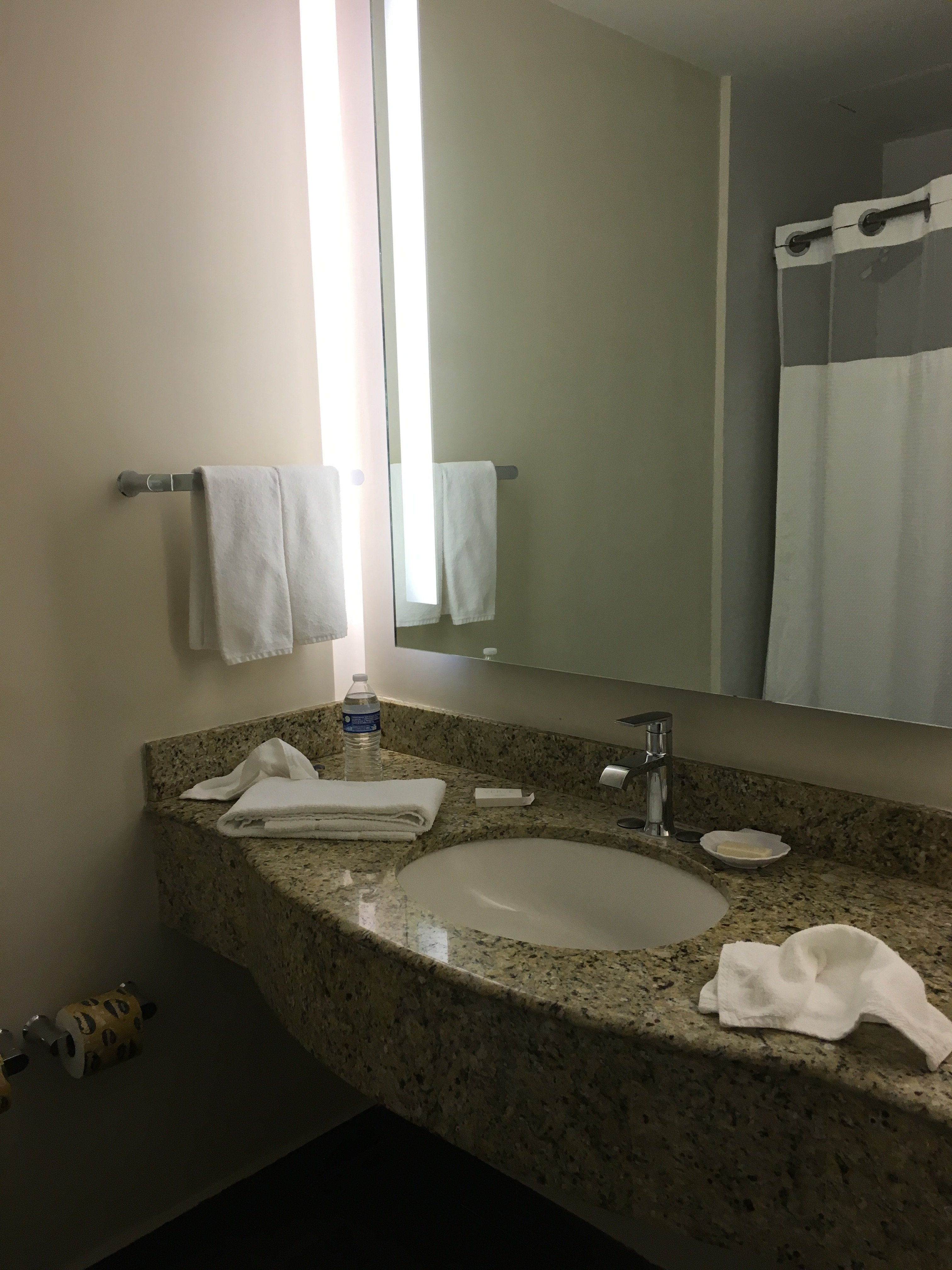 Courtyard by Marriott San Luis Potosi-浴室