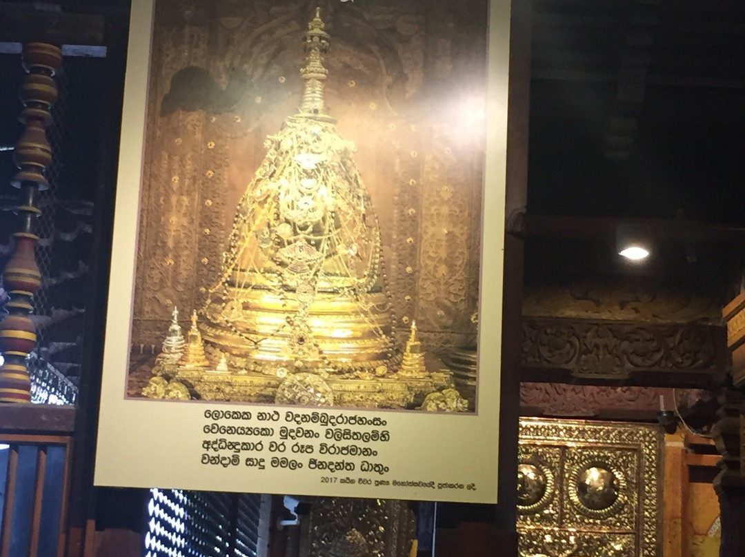 Cango Tour-亚洪加拉必去景点