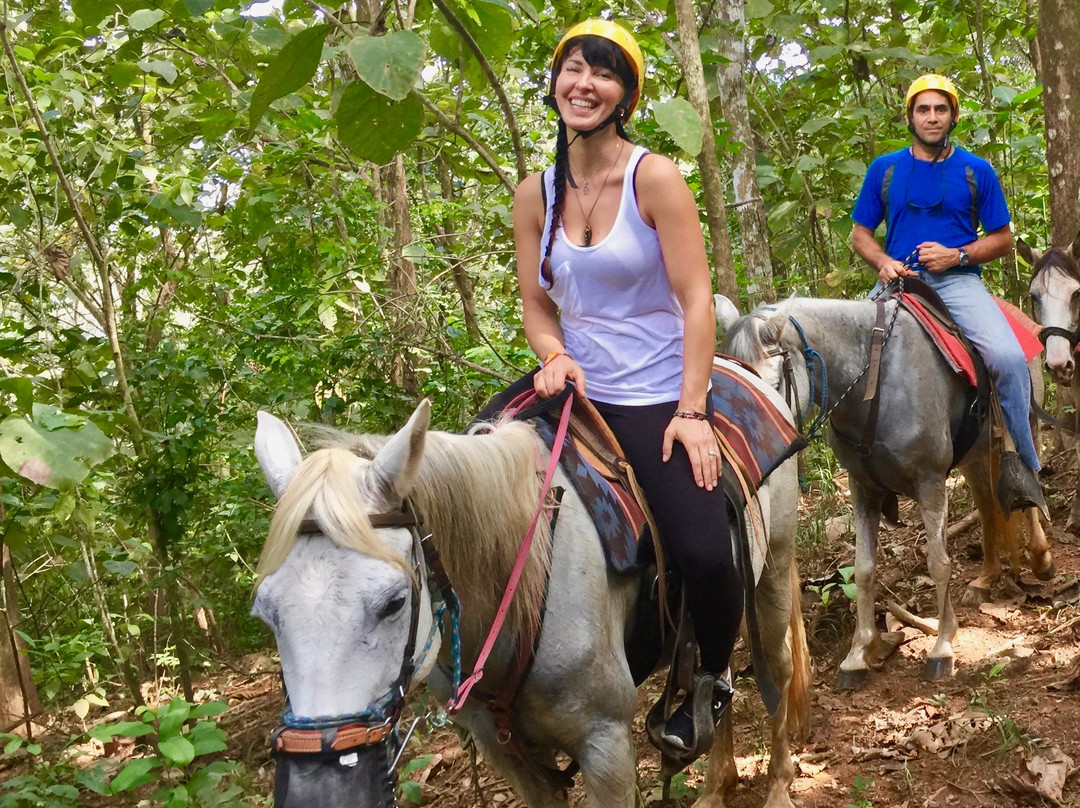 Rainforest Rides & Rappelling景点图片
