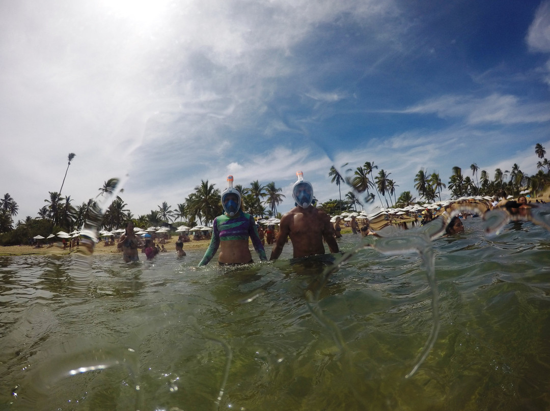 Mergulho Easy-普拉亚多海滩必去景点