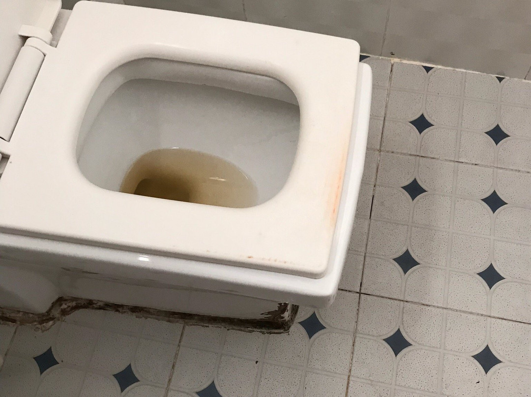 金河简易别墅主图