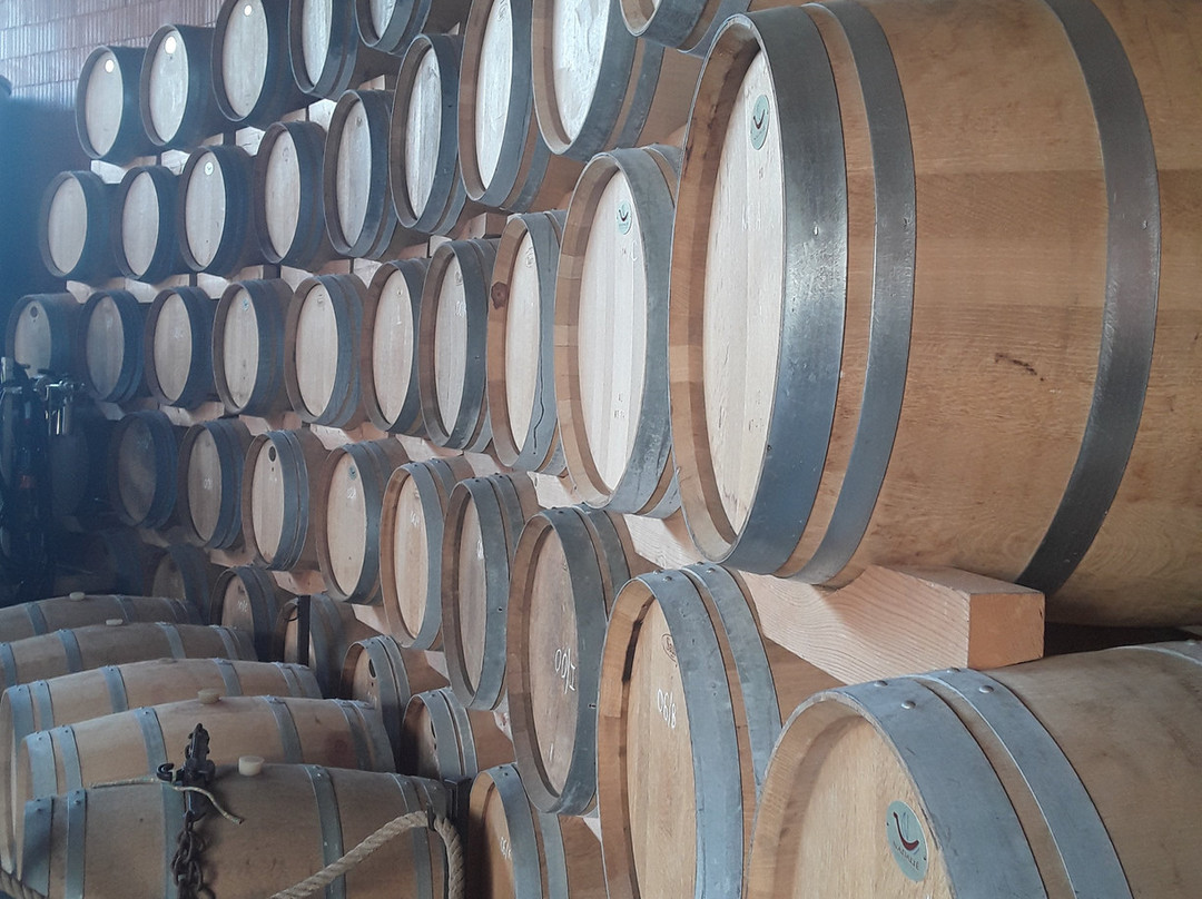 Banyuls Domaine Reno景点图片