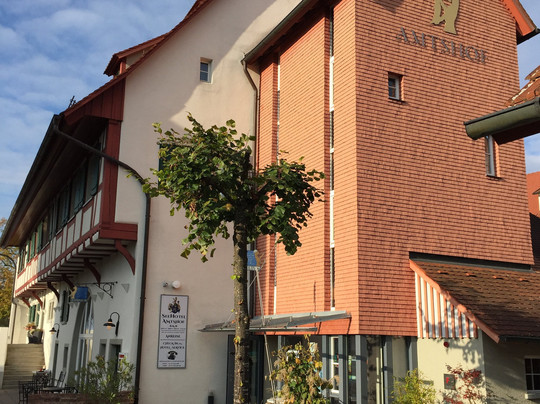 Seehotel Amtshof主图
