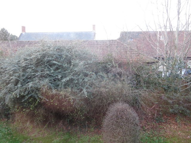 Travelodge Taunton-酒店景观