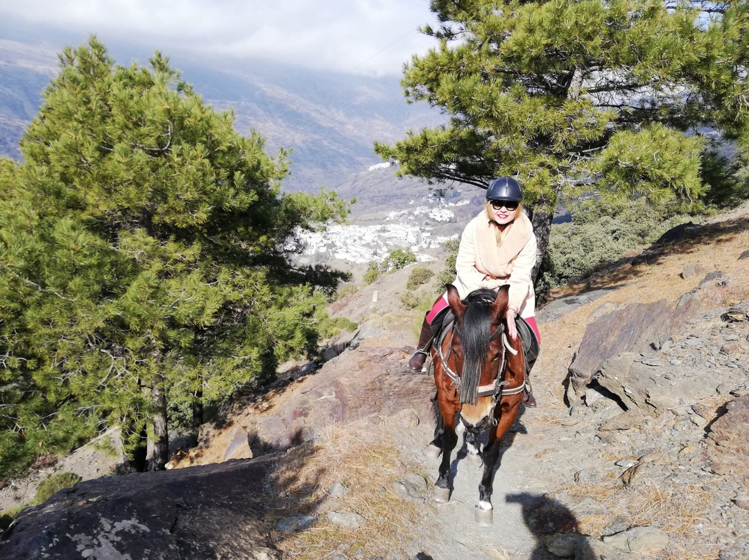 Riding Andalucia-布维翁必去景点