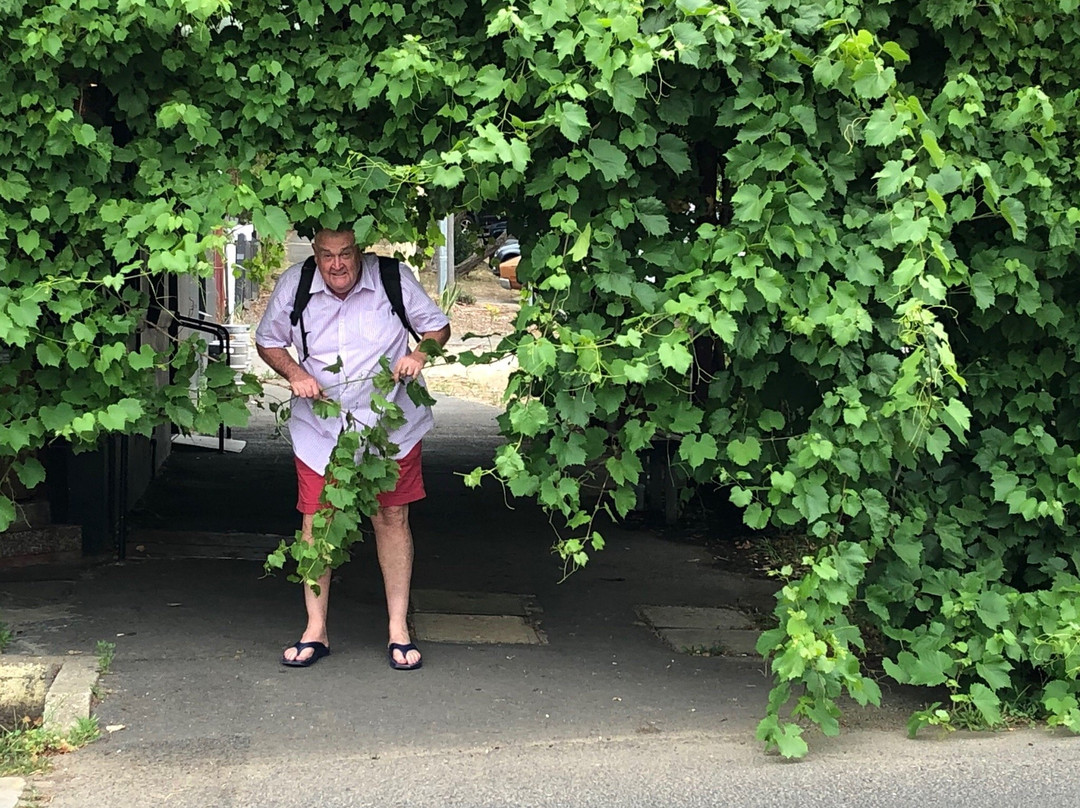 Bridge Hotel Castlemaine-Castlemaine必去景点