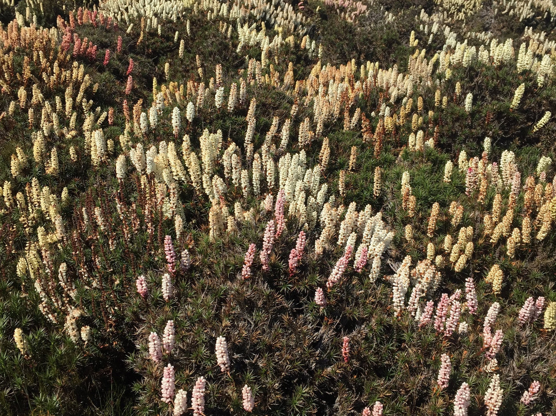 森林漫步小屋酒店主图