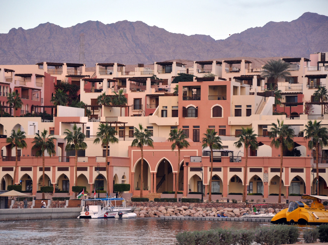 Aqaba Marine Park景点图片