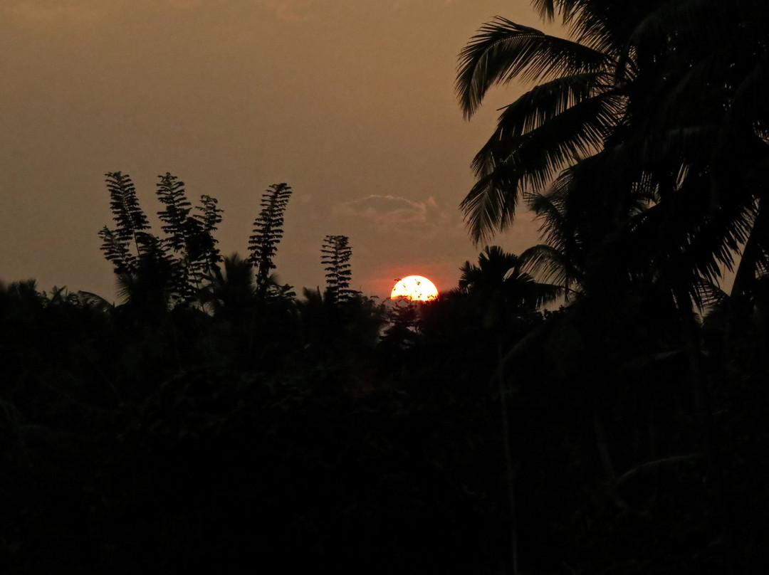 Amritara Riverside Camp主图