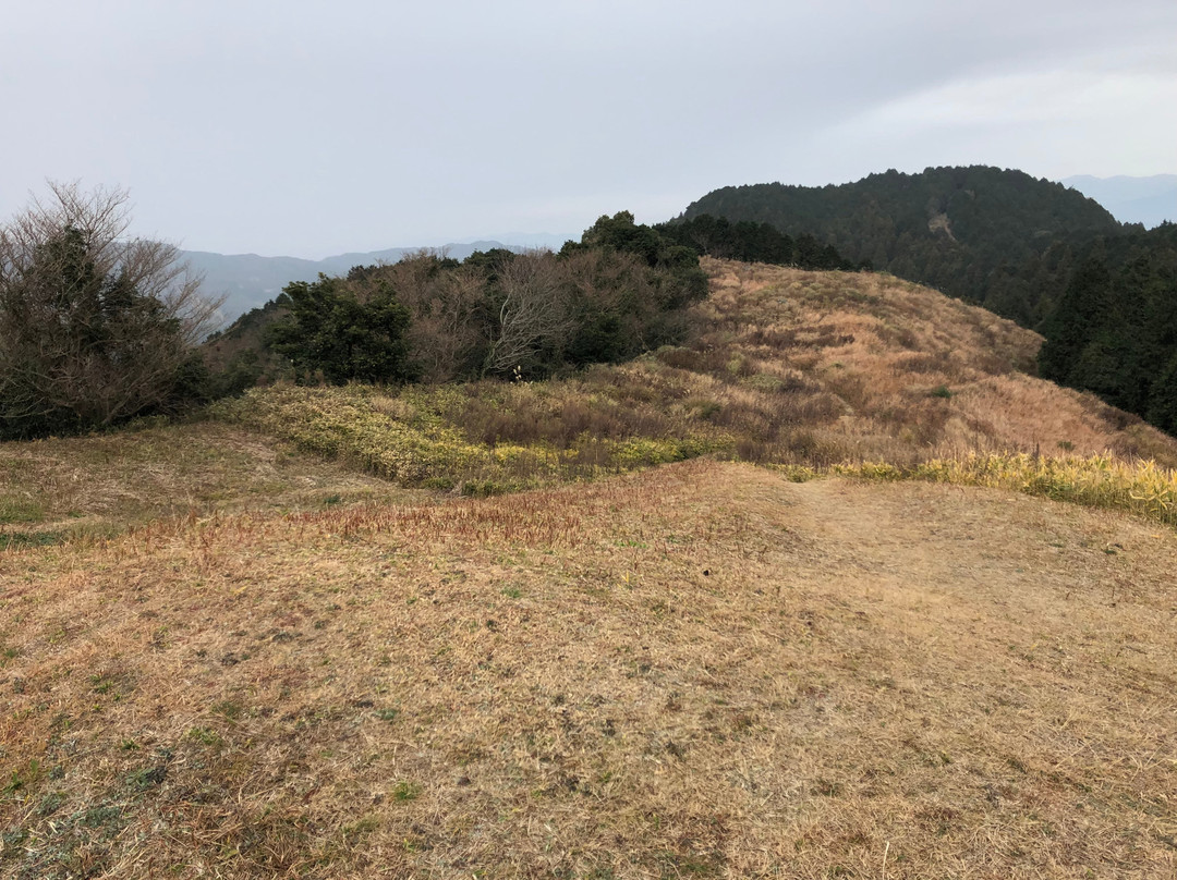 Kii Castle Ruins景点图片