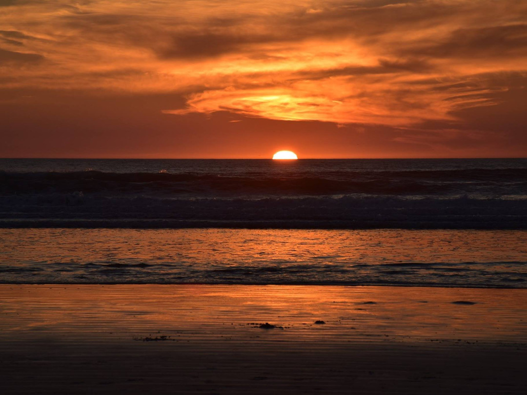 Pismo State Beach景点图片