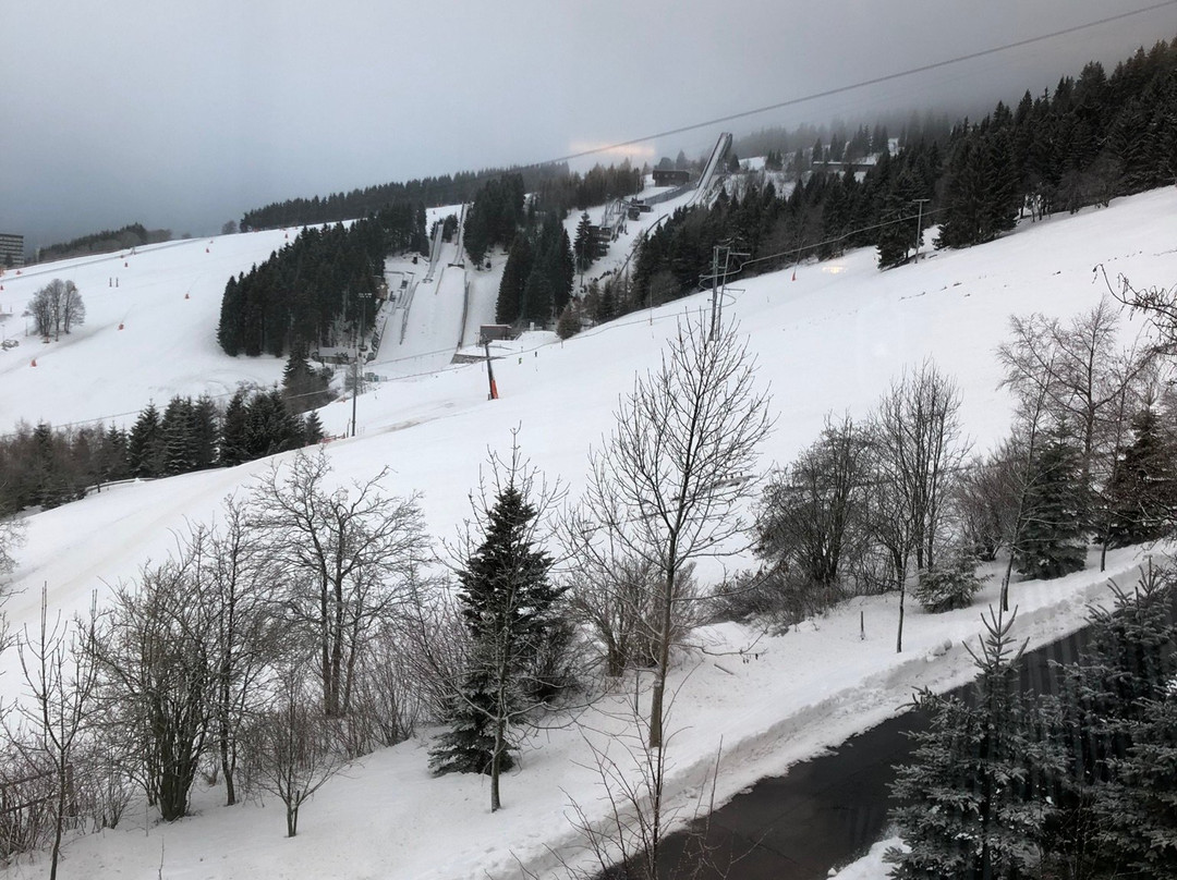 Oberwiesenthaler Panorama Hotel Gmbh主图