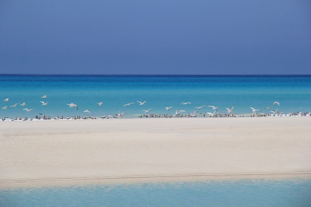 Socotra Adventure景点图片