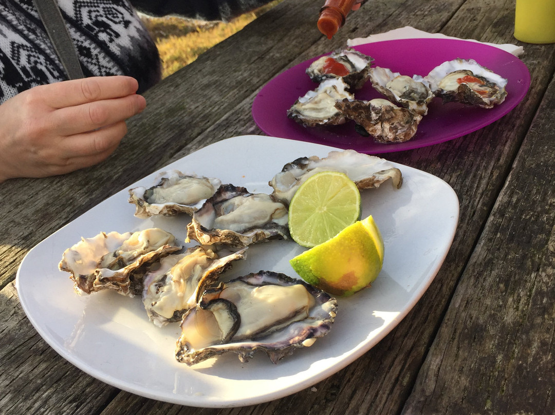 Oregon Oyster Farms-纽波特必去景点