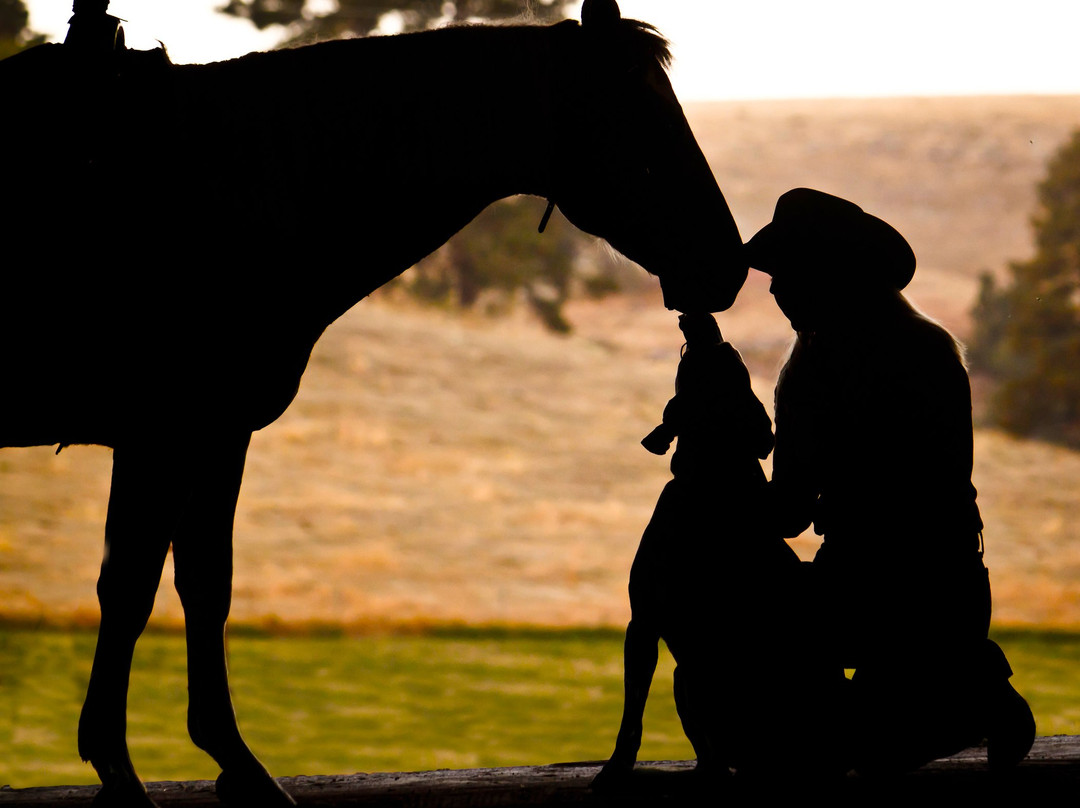 Country Charm Cabins and Corrals-卡斯特必去景点