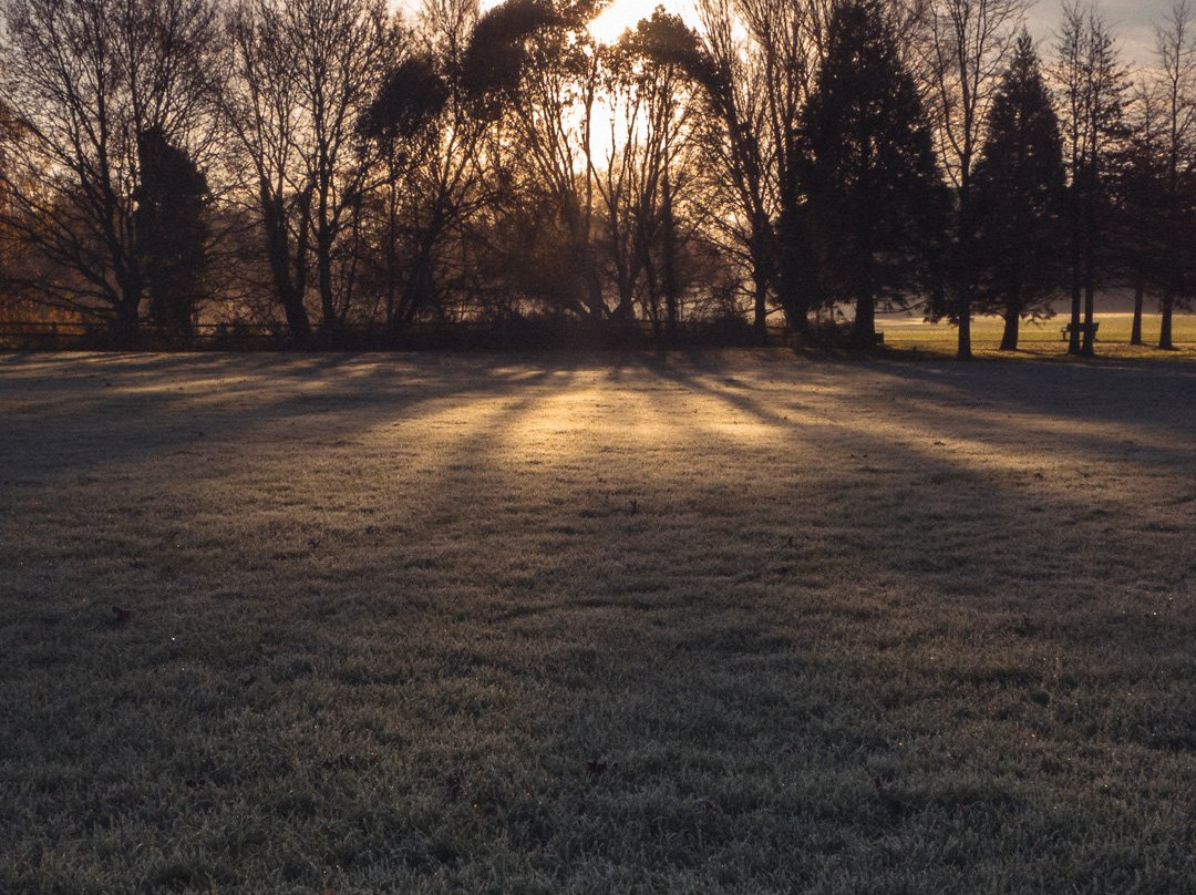 Horsham Park景点图片