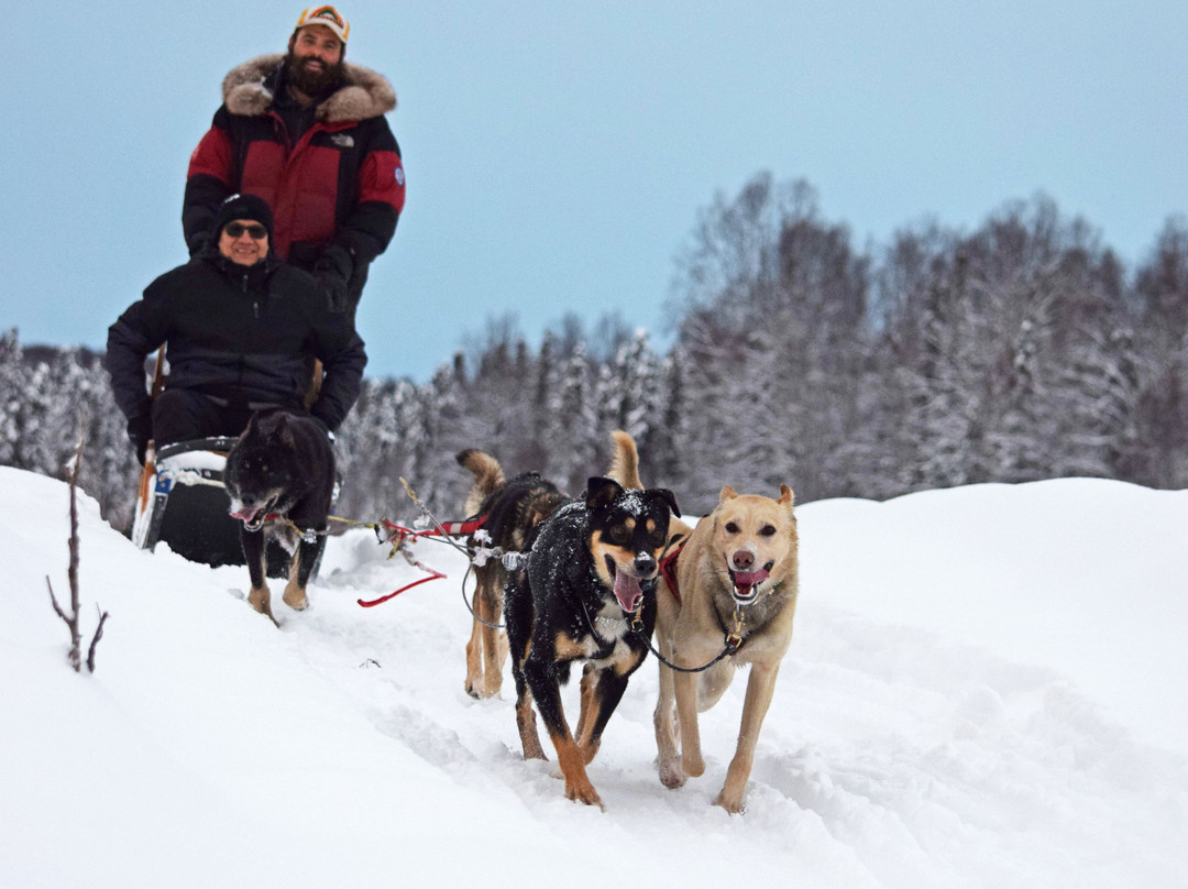 AK Sled Dog Tours-塔尔基特纳必去景点