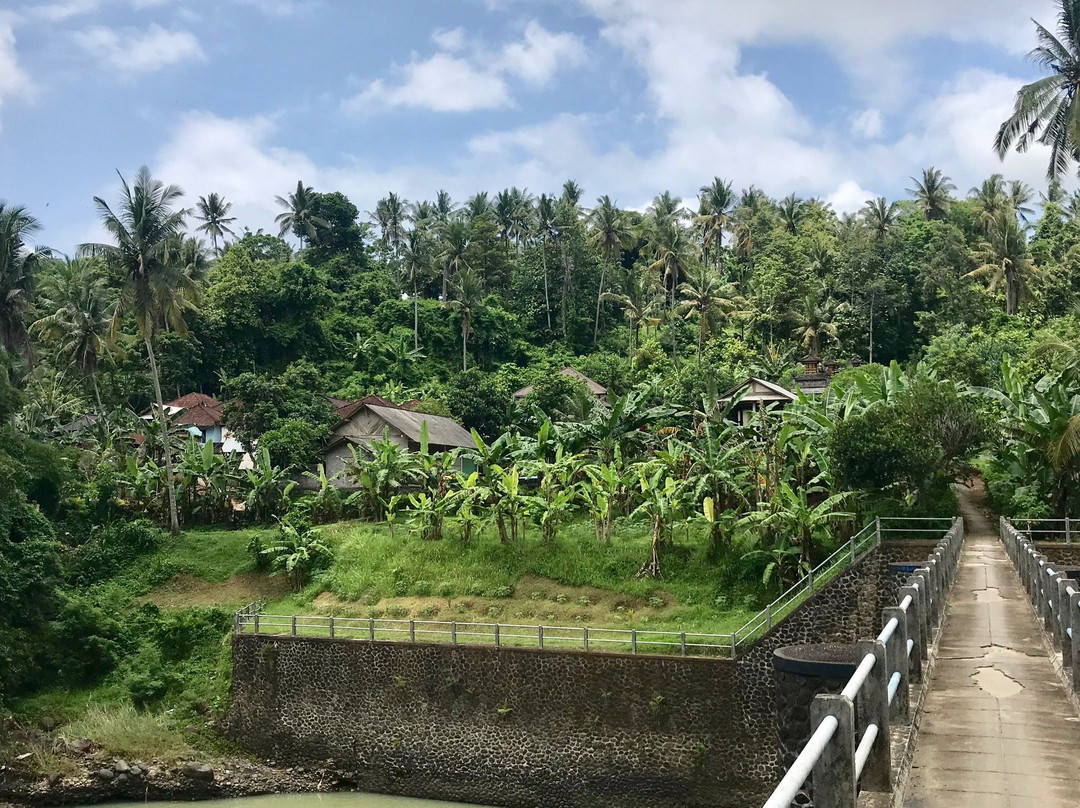 Bali Rice Padi-巴厘岛必去景点