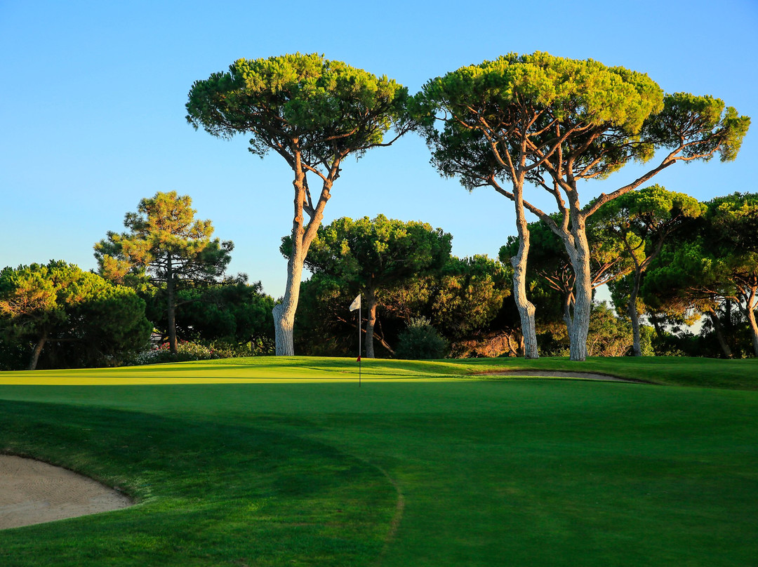 Dom Pedro Old Course - Golf Club景点图片